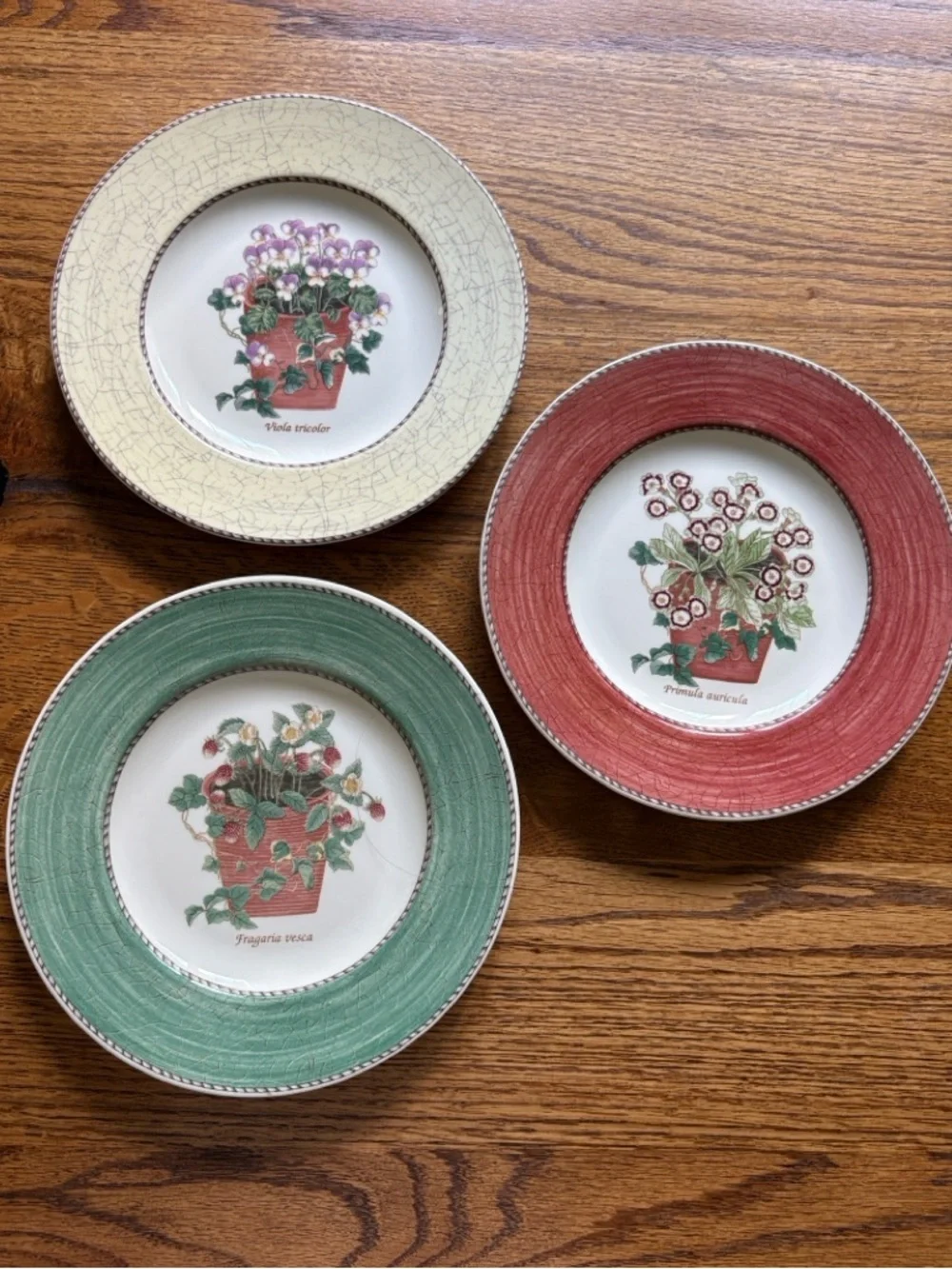 Wedgwood (3) Sarah’s Garden- 1997 Floral Accent salad Plates - Made in England